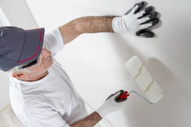 Best Commercial Mold Inspection  in Plainwell, MI
