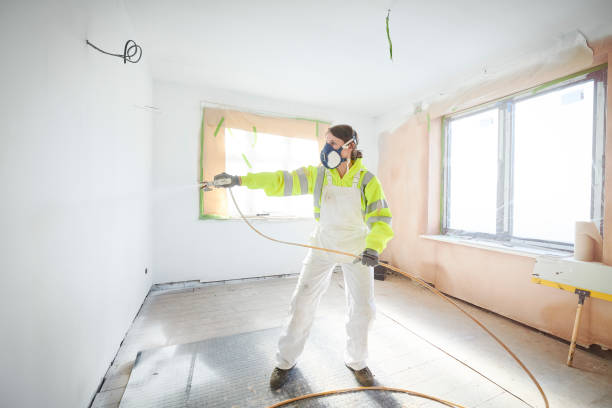 Best Residential Mold Inspection & Testing  in Plainwell, MI