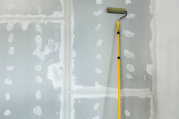 Best Real Estate Mold Inspection  in Plainwell, MI