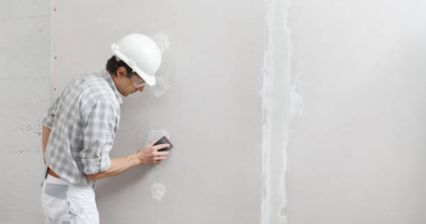 Best Environmental Consulting for Mold Prevention  in Plainwell, MI