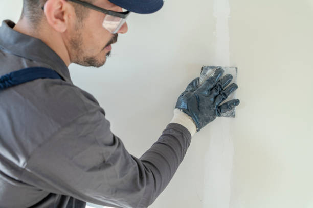 Trusted Plainwell, MI Mold Removal Experts