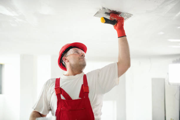 Best Emergency Mold Remediation  in Plainwell, MI