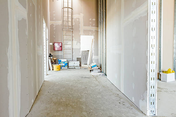 Best Emergency Mold Remediation  in Plainwell, MI