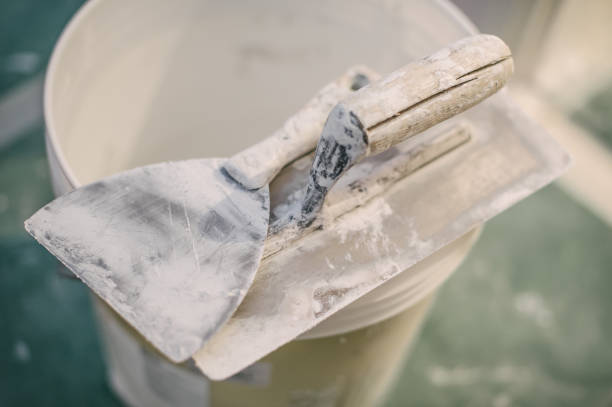 Best Dehumidification Services  in Plainwell, MI